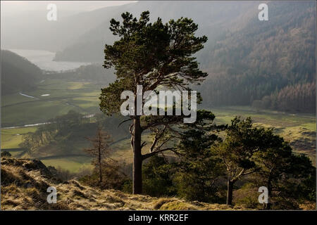 Crag Wren et Thirlmere dans le Lake District Banque D'Images