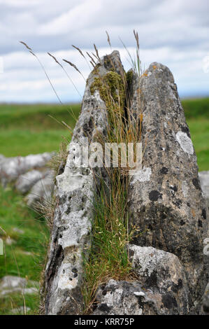 Loughcrew cairns à, comté de Meath, Irlande Banque D'Images