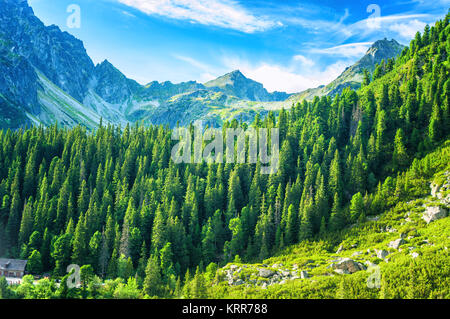 Dans les montagnes du Parc National des Hautes Tatras, Slovaquie Banque D'Images