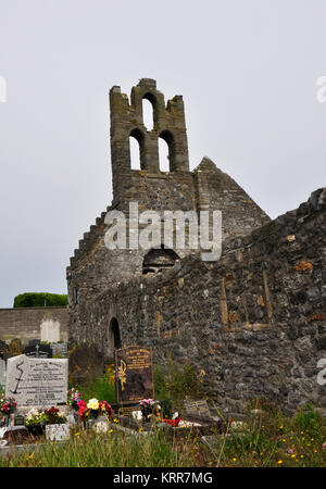 Abbaye de Howth, Irlande Banque D'Images