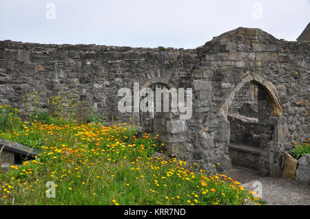 Abbaye de Howth, Irlande Banque D'Images