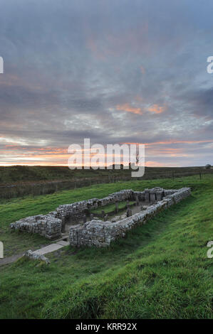 Temple de Mithra à Brocolitia Carrawburgh un site romain le long du tracé du mur d'Hadrien, dans le Northumberland Banque D'Images