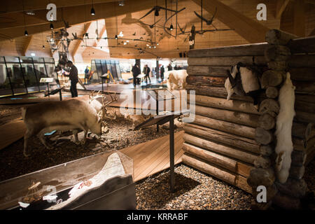 LONGYEARBYEN, Svalbard — le Musée Svalbard de Longyearbyen se concentre sur l'histoire naturelle et culturelle de l'archipeligo Svalbard, y compris sa faune et la façon dont la région a été exploitée pour la chasse à la baleine, la chasse au phoque, le piégeage, le charbon et le tourisme. Banque D'Images