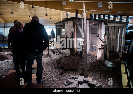 LONGYEARBYEN, Svalbard — le Musée Svalbard de Longyearbyen se concentre sur l'histoire naturelle et culturelle de l'archipeligo Svalbard, y compris sa faune et la façon dont la région a été exploitée pour la chasse à la baleine, la chasse au phoque, le piégeage, le charbon et le tourisme. Banque D'Images