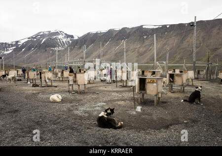 Chenil pour chiens Basecamp Explorer Longyearbyen Svalbard // Un chenil pour chiens pour la société d'aventure Basecamp Explorer à Longyearbyen, Svalbard. Situé un peu en dehors de la ville au sud-est du centre-ville de Longyearbyen, le chenil a été construit dans le style d'un camp traditionnel de traîneau à chiens. Banque D'Images