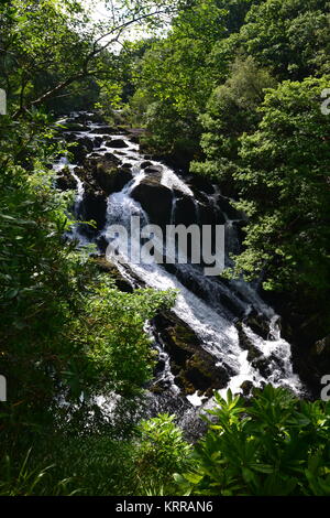 Swallow Falls, Betws-Y-coed, vallée de Conwy, Galles, Royaume-Uni Banque D'Images