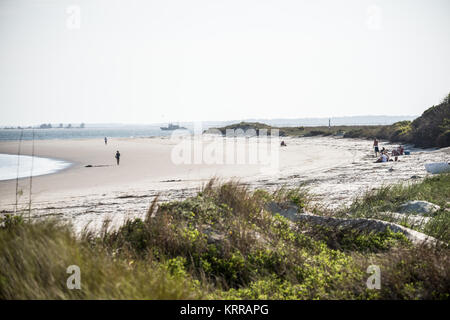 SULLIVAN'S ISLAND, Caroline du Sud, États-Unis — la plage à l'extrémité sud de Sullivan's Island offre un sable immaculé et une vue sereine sur l'océan. Cet endroit tranquille est connu pour sa beauté naturelle, son importance historique, et comme une destination populaire pour les habitants et les touristes. Banque D'Images