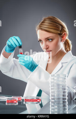 Jeune femme européenne scientifique ou tech en blouse blanche et gants bleu travaille avec des cellules cultivées et de l'échantillon liquide. Banque D'Images