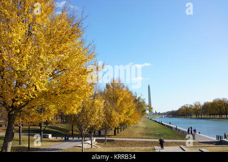 Lincoln Memorial Reflecting Pool automne Washington DC | WASHINGTON D.C., États-Unis — Un feuillage d'orme doré bordent le Lincoln Memorial Reflecting Pool, avec le Washington Monument qui s'élève au loin le long de l'axe central du National Mall. Le bassin, construit en 1922-1923 selon les plans attribués à l'architecte Henry Bacon, s'étend sur environ 2 028 pieds (618 m), ce qui en fait l'un des plus grands bassins ornementaux du monde. Son bassin sombre a été conçu pour refléter les monuments environnants plutôt que de rivaliser avec eux. Banque D'Images