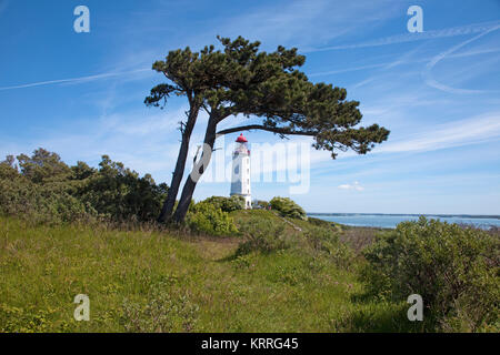 Dodger et le phare du vent sur Schluckwiekberg Dornbusch, monument de l'île de Hiddensee, Mecklembourg-Poméranie-Occidentale, de la mer Baltique, l'Allemagne, de l'Europe Banque D'Images