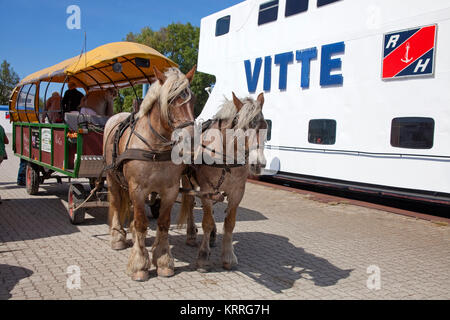 Balade en calèche en attente à l'embarcadère pour les touristes, le village de l'île de Hiddensee, Vitte, Mecklembourg-Poméranie-Occidentale, de la mer Baltique, l'Allemagne, de l'Europe Banque D'Images