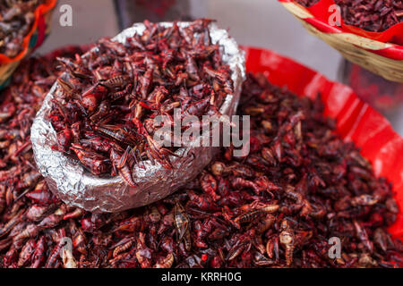 Chapulines ou les sauterelles à Mercado Benito Juárez, la Ville d'Oaxaca, Oaxaca, Mexique, Banque D'Images