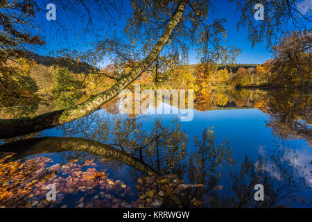 Tanzende Blätter im Herbst bei langer Belichtung, buntes und Herbstlaub Wanderung auf einem Voir, blauer Himmel und bunter Herbst am Wasser Banque D'Images