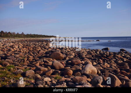 Le littoral est parsemé de pierres. Mer Blanche, Îles Solovetsky Banque D'Images