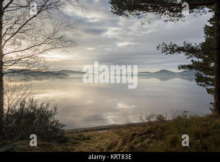 Brouillard sur le fjord à Kristiansand, d'arbres et l'herbe en face Banque D'Images