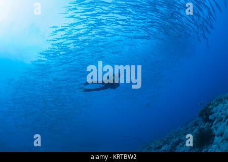 Sous-marins barracuda photo Soudan Red Sea Diving Safari Banque D'Images