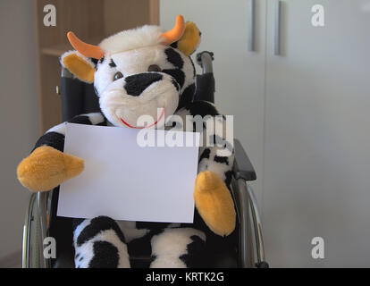 Vache en peluche assis dans un fauteuil roulant et holding a blank sign Banque D'Images