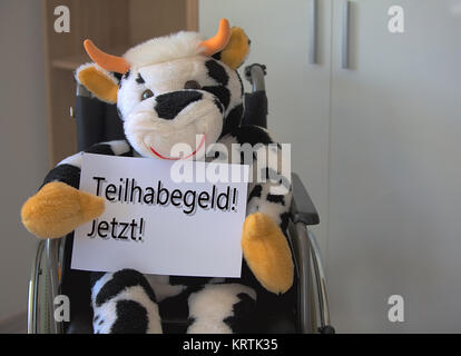 Vache en peluche assis dans un fauteuil roulant et avec un panneau Banque D'Images