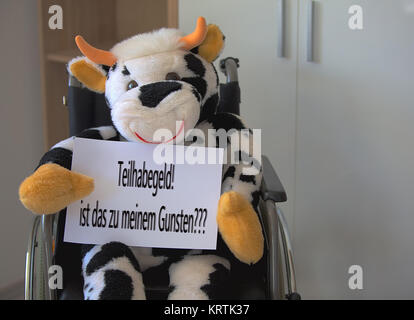 Vache en peluche assis dans un fauteuil roulant et avec un panneau Banque D'Images