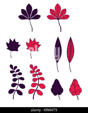 Ensemble de feuilles d'automne Banque D'Images