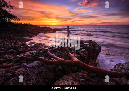 Rapid Creek, NT. Banque D'Images