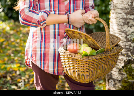 Jeune adolescent avant la cueillette des pommes dans le jardin Banque D'Images