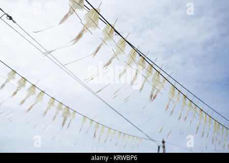 Calmars de séchage Banque D'Images