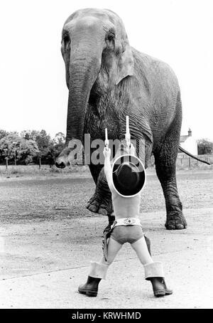 Enfant déguisé comme un cowboy jouer avec l'éléphant, l'Angleterre, Grande-Bretagne Banque D'Images