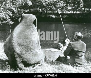 L'homme et l'éléphant de pêche, Angleterre, Grande-Bretagne Banque D'Images