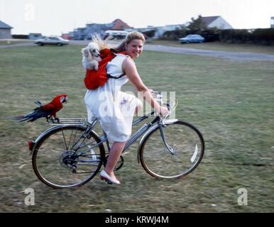 Fille sur un vélo avec un chien et un perroquet, Angleterre, Grande-Bretagne Banque D'Images