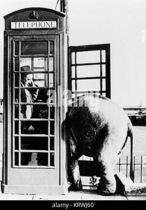 Homme avec petit éléphant dans une cabine téléphonique, Angleterre, Grande-Bretagne Banque D'Images