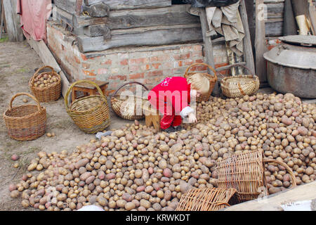 Bébé jette sur les pommes de terre dans le panier Banque D'Images