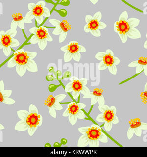 L'encens fleur motif transparent vecteur. Fleurs de l'arbre Boswellia. Banque D'Images