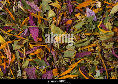 Les feuilles de thé de fines herbes séchées Banque D'Images