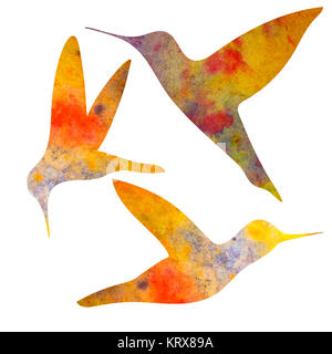 Les colibris Silhouette. aquarelle illustration. isolated on white Banque D'Images