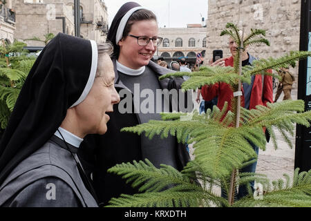 Jérusalem, Israël. 21 Décembre, 2017. Ramassage des arbres de Noël religieuses près de la vieille ville de Jérusalem Porte de Jaffa. La municipalité de Jérusalem et le Fonds National Juif cultivé spécialement distribués cyprès de l'Arizona les arbres de Noël à la population chrétienne à la porte de Jaffa. Credit : Alon Nir/Alamy Live News Banque D'Images