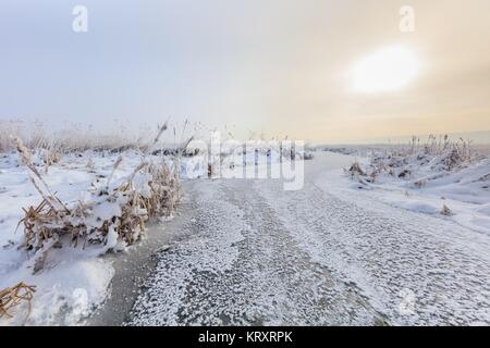 En hiver le lac Comana Banque D'Images