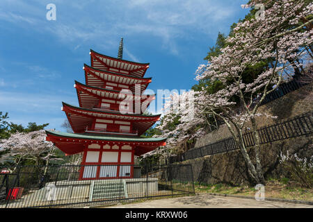 Tokyo, Japon - 11 Avril 2016 : Chureito pagode à Arakura Sanctuaire Sengen région est vue du Mont Fuji en association avec les fleurs de cerisier et de l'automne Banque D'Images