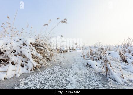 En hiver le lac Comana Banque D'Images