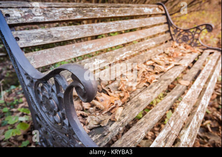 Banc dans le parc en automne. Banque D'Images