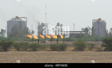 Petrochemische Industrie, l'Iran, l'Asie Banque D'Images