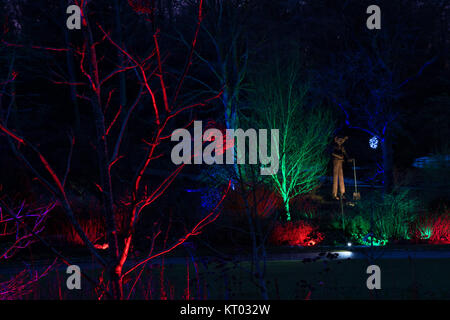 RHS Gardens - Glow Harlow Carr,Illuminations hiver,Harrogate North Yorkshire, Angleterre, Royaume-Uni. Banque D'Images