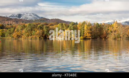 Les arbres forestiers afficher couleurs d'automne sur la rive du lac Winderemere, dans les montagnes enneigées de Langdale, à Ambleside en Angleterre's Lake Dist Banque D'Images