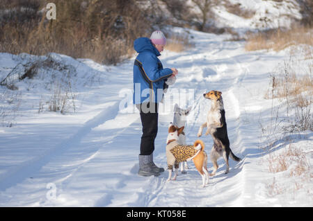 Groupe de chiens mignons master la mendicité pour leur donner de la nourriture alors que jouer à l'extérieur de la saison d'hiver Banque D'Images