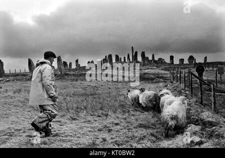 Callanish Standing stones, éleveur 1970 Isle Of Lewis Outer Hebrides Highlands and Islands Scotland UK 1974 HOMER SYKES Banque D'Images