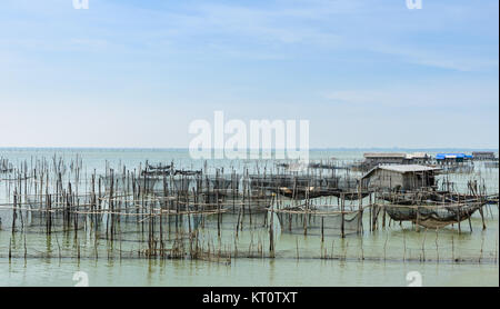 Élevage de poissons marins en Thaïlande Banque D'Images