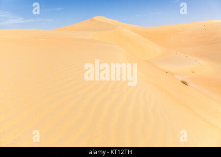 Dunes dans l'oasis de Liwa, Émirats arabes unis Banque D'Images