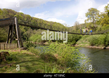 Pont de fil sur la rivière Wye, forêt de Dean, en Angleterre Banque D'Images