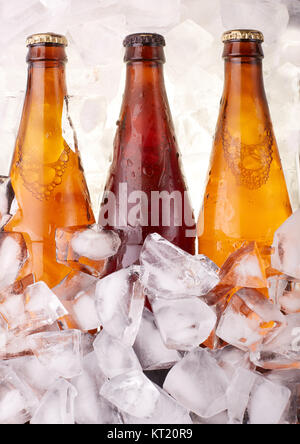 Bouteilles de bière dans des cubes de glace Banque D'Images