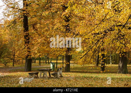 Park à l'automne ou à l'automne Banque D'Images